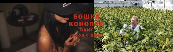 дживик Белоозёрский