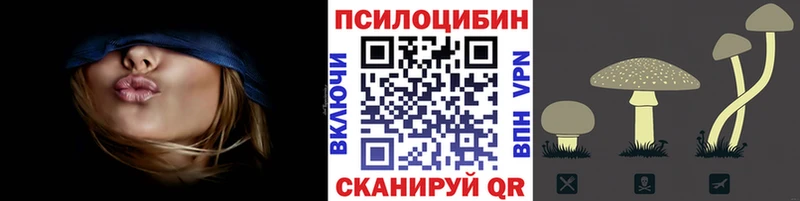 hydra вход  Светлый  Галлюциногенные грибы Psilocybine cubensis  где найти  