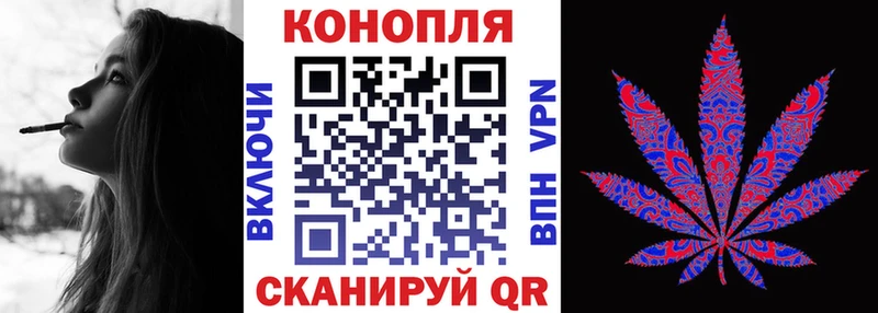 Бошки марихуана конопля  купить наркоту  Светлый 